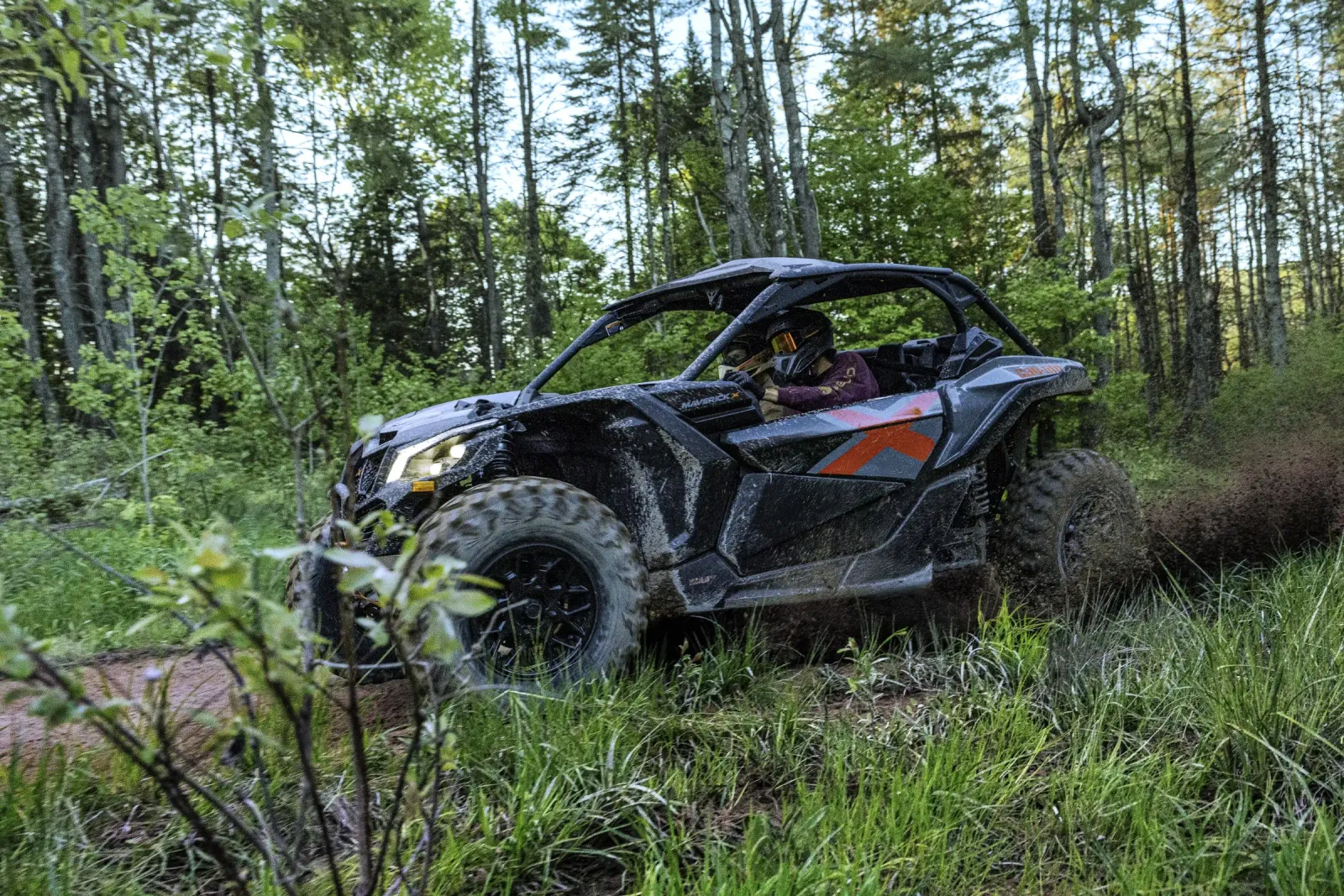 Maverick Trail/Sport